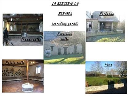 Photos